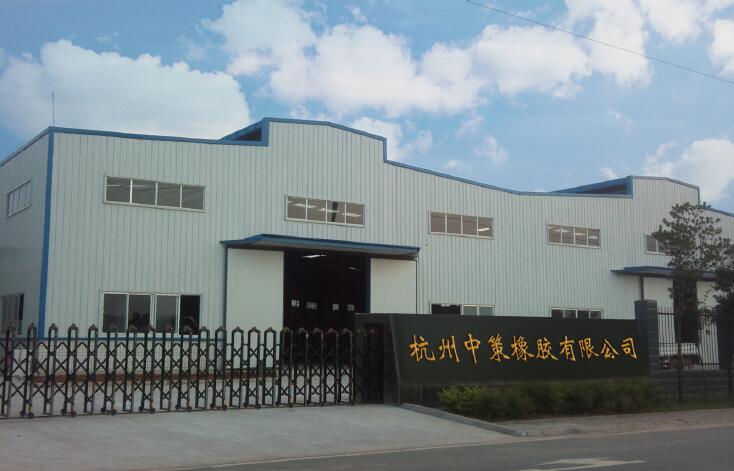 杭州中策橡胶1.jpg